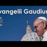 Rindone Evangelum gaudium