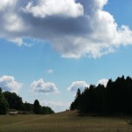 Immagine4