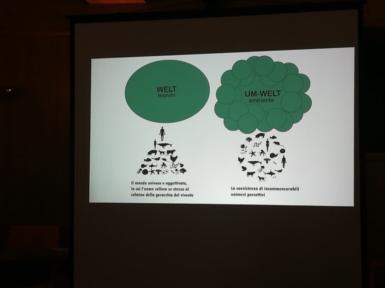 Piazzatorre – Materiali di lavoro (2)