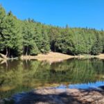 filosofia-Lago-della-Ninfa-768×432