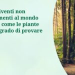 oddo-piante-diapositiva01