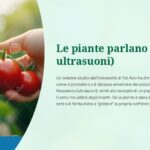 oddo-piante-diapositiva11