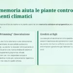 oddo-piante-diapositiva13